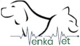 Awesome Logo
